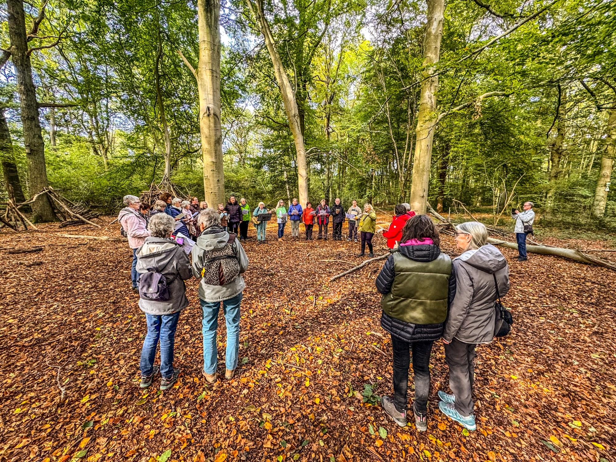 Erfolgreiche „Auszeit im Wald“ in Raderbroich (c) cs