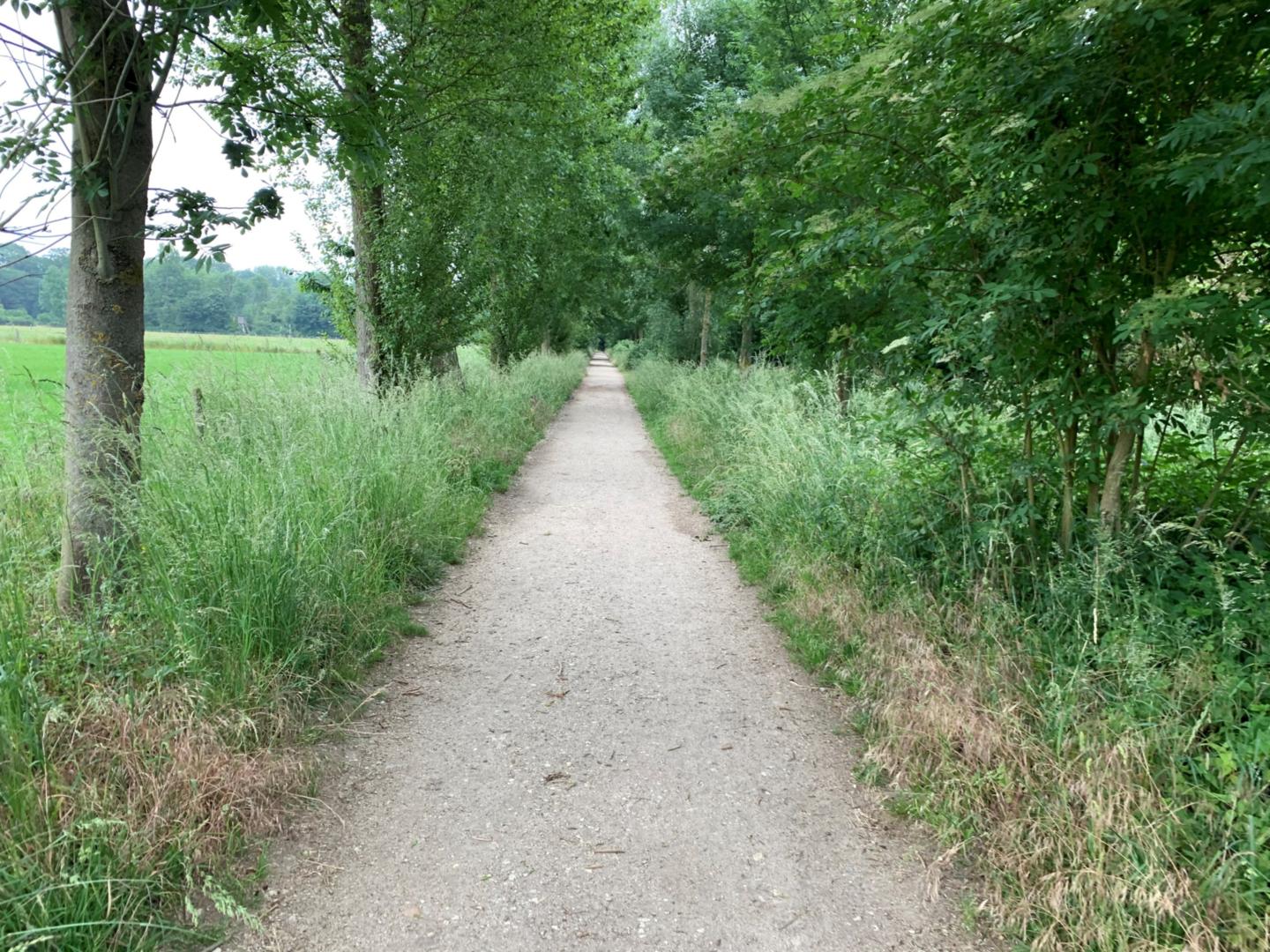 auszeit im wald (c) cs